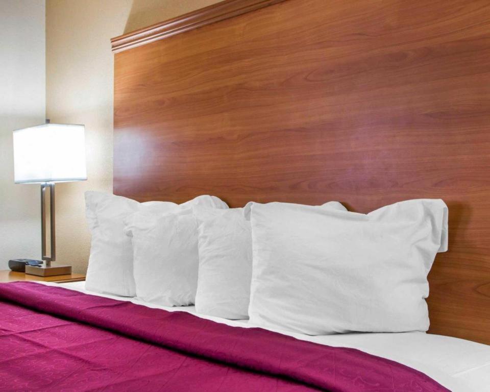 Quality Inn Ottawa Near Starved Rock State Park Exteriör bild